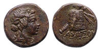Ancient coins PONTOS, Amisos. temp. Mithradates VI. Circa 85-65 BC. Ã20-21 - EF! -