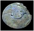 Ancient art Large Medieval Viking Chest Plate Adornment, c. 8th cent. AD -