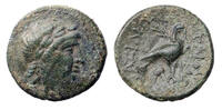 Ancient coins  SELEUKID KINGS of SYRIA. Achaios. Usurper, 220-214 BC. AE... 85,00 EUR  zzgl. 22,00 EUR Versand