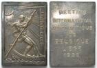 Belgien - Medaillen LÜTTICH 1939 INTERNAT. YACHT RALLYE Plakette v. Antoine Vriens 72x51mm -