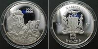 Sambia SAMBIA 5000 Kwacha 1999, LÖWEN FAMILIE, Silber 1 Unze SELTEN! -