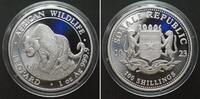 Somalia SOMALIA 100 Shillings 2023 Leopard AFRIKANISCHE TIERWELT Silber 1 Unze -
