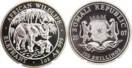 Somalia 1 oz Silber African Wildlife Somalia Elefant 2007 in Kapsel 100 Shilling 2007 Stempelglanz