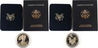 USA 1 Dollar American Silver Eagle -