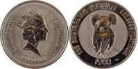 100 Dollars 1988 Australien leichte Kratzer- Koala 1 Oz Platin Fast Unzirkuliert