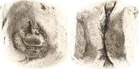 Thailand (Siam) 1/8 Baht Rama IV. (Phra Chom Klao 'Mongkut') 1851-1868. -