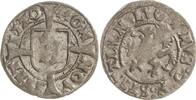 Pommern Witten Bogislaw X. 1474-1523. -