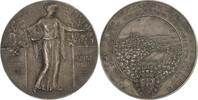 Arnsberg, Stadt Prämienmedaille -