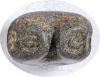 THAILAND Bullet Unit (3 Baht) ca. 1238-1361 Kingdom of Sukothai. Zinc-Lead Bullet (3 Baht) Unit. Sehr Schön