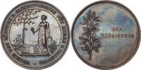 AUSTRIA Award Medal (Verdienstmedaille) Association of gardeners of Krems & Surroundings. -