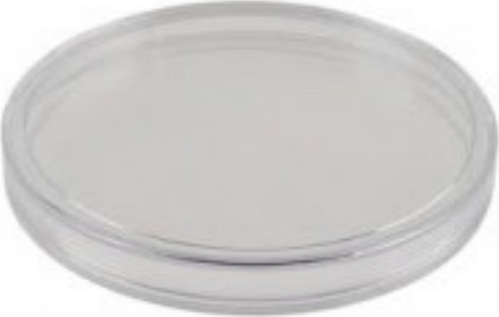 Acryl-Münzkapsel 38,6 Mm – Transparenter Halter Für Silbermünzen Bis 28,3 G