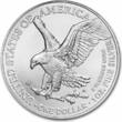 Vereinigte Staaten 1 Dollar Silbermünze 1 oz American Silver Eagle Burnished 2025 999 Silber Münze BU