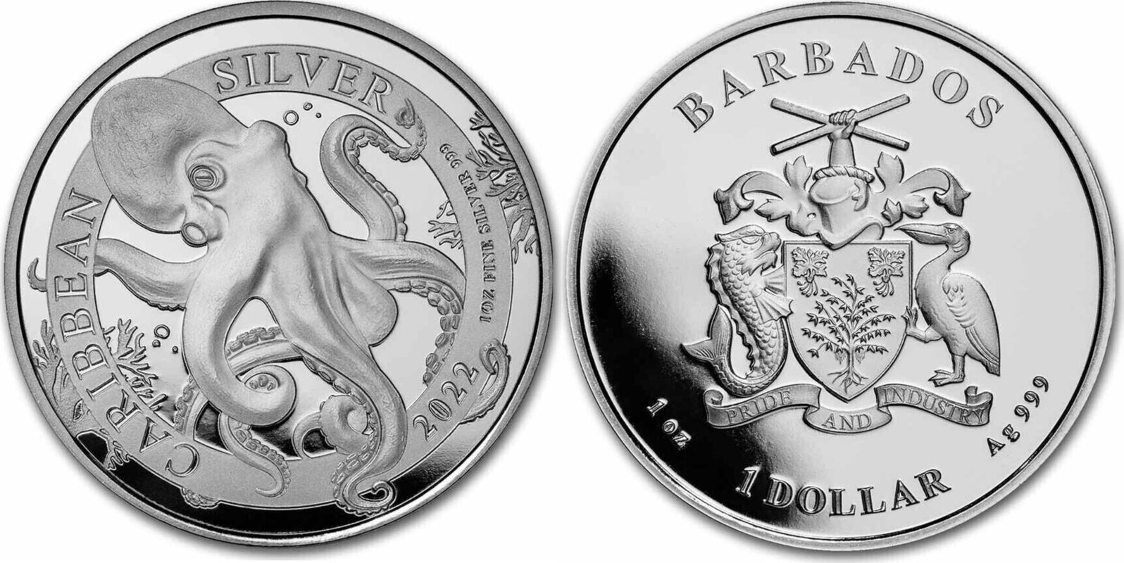 1 Dollar Barbados Karibischer Oktopus 2022 1 oz 999 Silbermünze ...