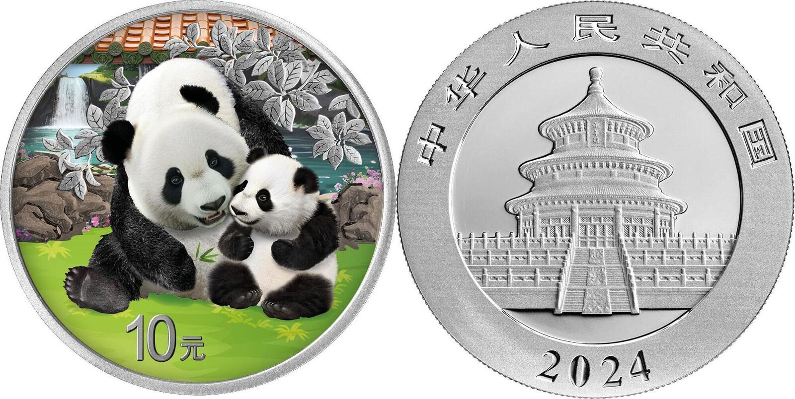 Silbermünze China Panda 2024 30 Gramm Farbe in Kapsel mit Produktkarte