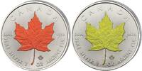 Kanada Royal Canadian Mint Maple Leaf Vier Jahreszeiten 4 x 1 oz Silbermünze 5 Dollar 2022 Stempelglanz Farbe
