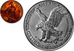 Polen 1 Dollar Silbermünze 1 oz USA ASE Knights of Honour Crimson Crusader 2025 Farbe 999 prägefrisch / Neuware