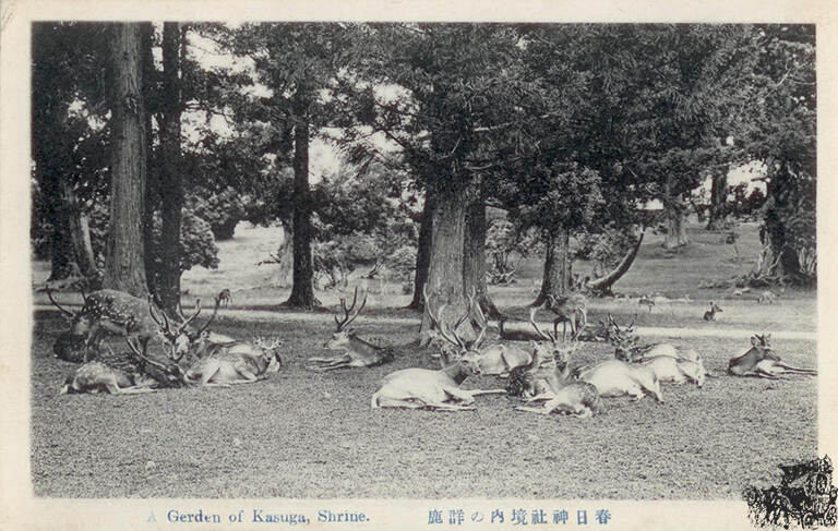 Deutschland Ansichtskarte Gerden of Kasuga Shrine