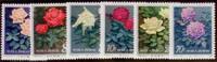China 1984 ** - Rosen -