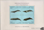 Monaco Wale II ** 1993, Monaco -