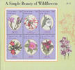 Mikronesien Mikronesien 2000 ** - Wildblumen -