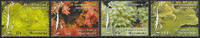 Mikronesien Mikronesien 2009 ** - Korallen -