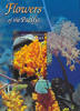 Mikronesien Mikronesien 2004 ** - Blumen des pazifischen Raums -