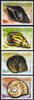 Mikronesien Mikronesien 2009 ** - Schnecken -