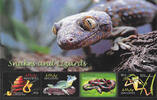Unbekannt Malediven 2004 ** - Reptilien und Lurche -