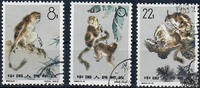 China 1963 o - Goldstumpfnasen -