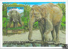 Malediven 1993 ** - Elefant -