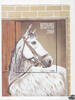 Zentralafrika 1999 ** - Hannoveraner -
