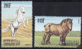Zentralafrika 1999 ** - Pferde -