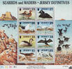 Jersey Insel Jersey 1999 ** - See- und Watvögel, Pfuhlschnepfe -