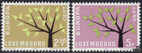 Luxemburg Luxemburg 1962 ** - EUROPA, Baum -