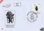 Österreich 2024 FDC - € 1,20 - Käfer, Carabus nodulosus -