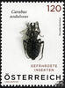 Österreich 2024 o - € 1,20 - Käfer, Crabus nodulosus -