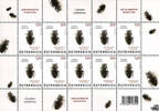 Österreich 2024 Klbg. ** - 10 x € 1,20 - Käfer, Crabus nodulosus -