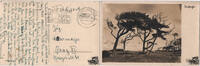 Beleg Feldpost 2. Weltkrieg - siehe Scan -