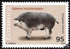 Österreich 2024 ** - € 0,95 - Mangaliza-Schwein -