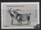 Österreich Österreich 2025 ** - € 1,00 SM Blobe Ziege -