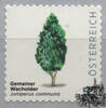 Österreich Österreich 2025 o - € 0,05 RM Gemeiner Wacholder - Juniperus communis -