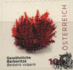 Österreich Österreich 2025 o - € 1,00 BM Gewöhnliche Berberitze - Berberis vulgaris -