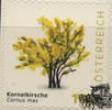 Österreich Österreich 2025 ** - € 1,00 BM Kornelkirsche - Cornus mas -
