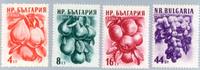 Bulgarien 1956 ** - Früchte -