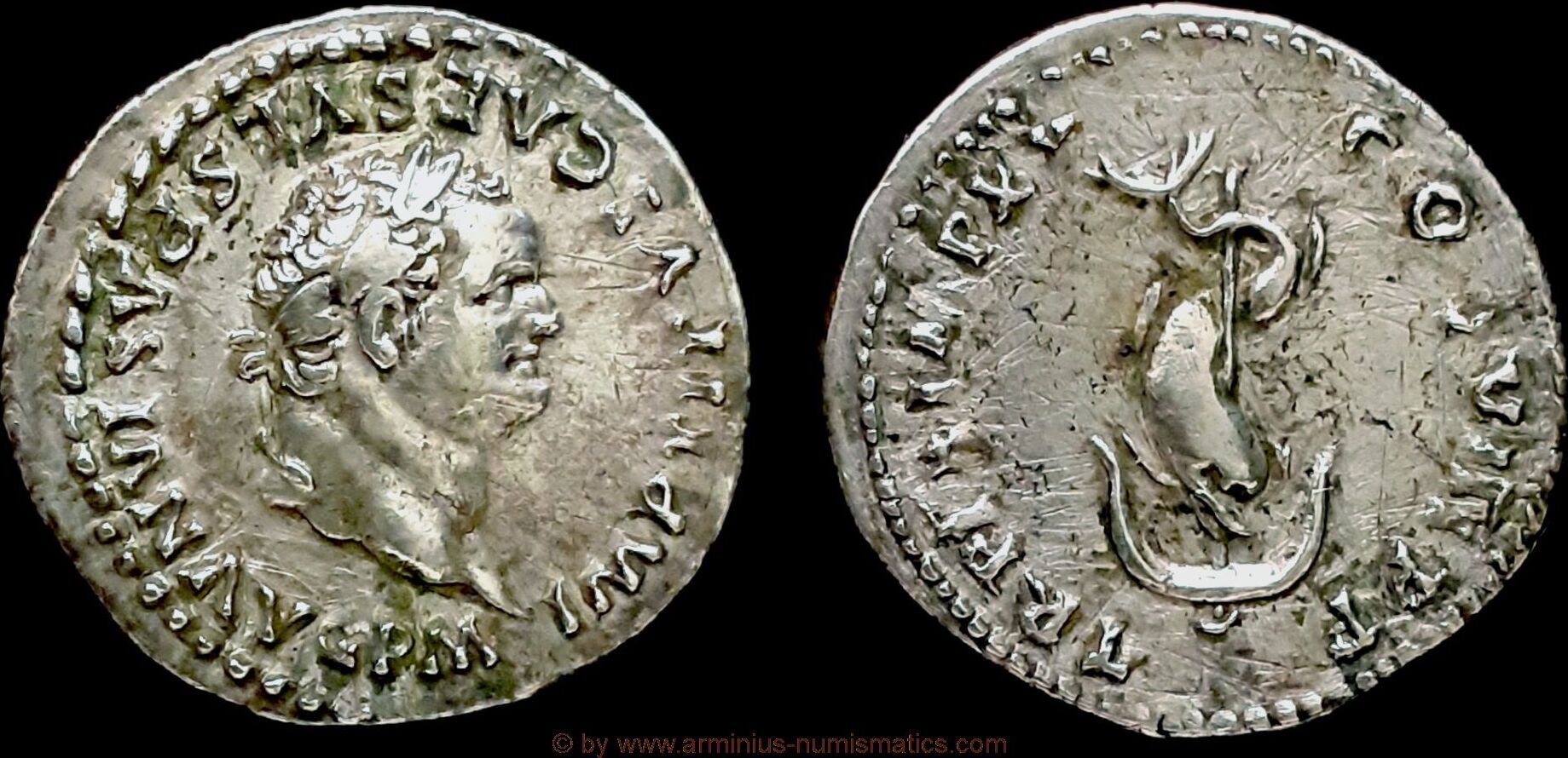Roman Empire Denar 80 n. Chr. Titus ss | MA-Shops