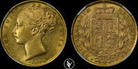 AUSTRALIA 1 sovereign Victoria shield -