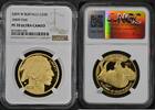 USA G$50 Indian Buffalo -