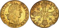 France - Louis XIV - Louis d'or 1669 Bayonne - NGC MS 63+ - TOP POP -