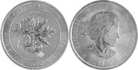 Kanada 8 Dollars 1,5 oz Maple Leaf (Superleaf) -