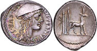 Romaine Denier 55 AC Roman coin - Plancia - Silver Denarius- Roma - 55 B... 1100,00 EUR  zzgl. 35,00 EUR Versand